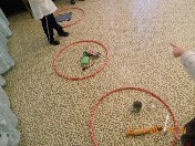 �����������